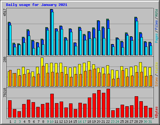 Daily usage for January 2021