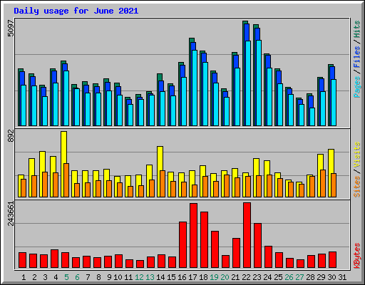 Daily usage for June 2021