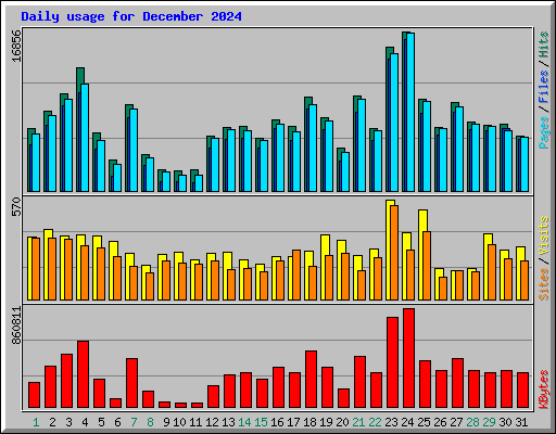 Daily usage for December 2024