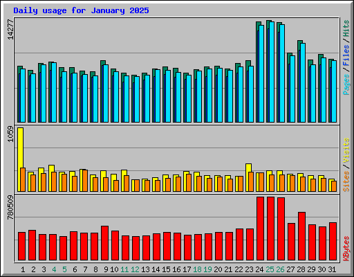 Daily usage for January 2025