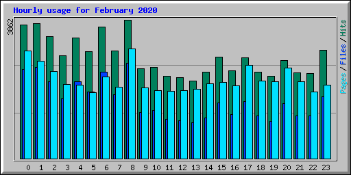 Hourly usage for February 2020