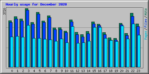 Hourly usage for December 2020