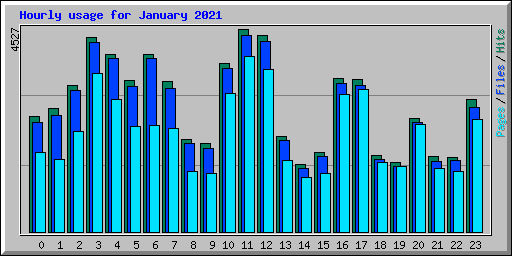 Hourly usage for January 2021