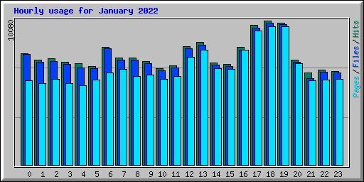 Hourly usage for January 2022