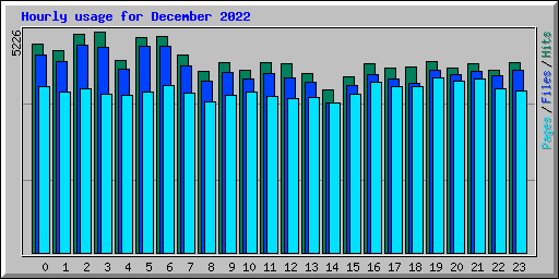 Hourly usage for December 2022