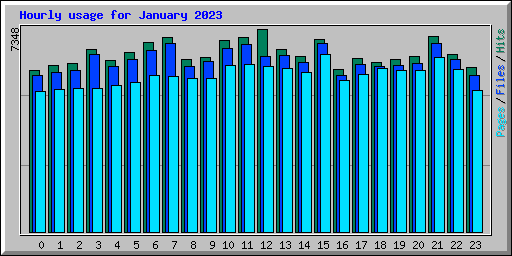 Hourly usage for January 2023