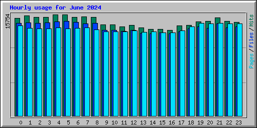 Hourly usage for June 2024