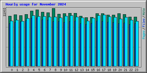 Hourly usage for November 2024