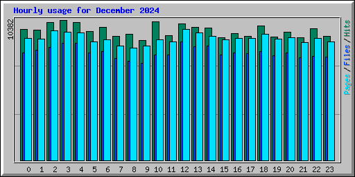 Hourly usage for December 2024