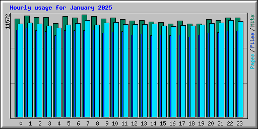 Hourly usage for January 2025