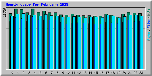 Hourly usage for February 2025