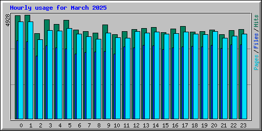 Hourly usage for March 2025